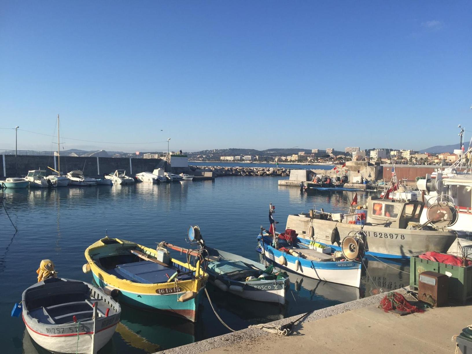 Coquet Logement Front De Mer كانيو سور مير المظهر الخارجي الصورة